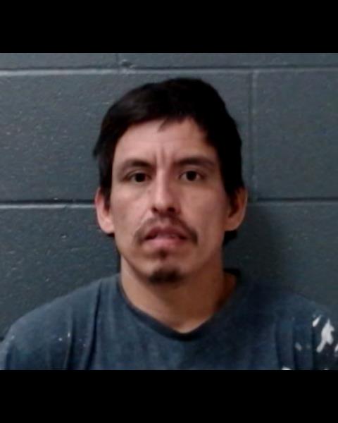 LUNA-PACHECO, RENE CRESENCIO booking photo