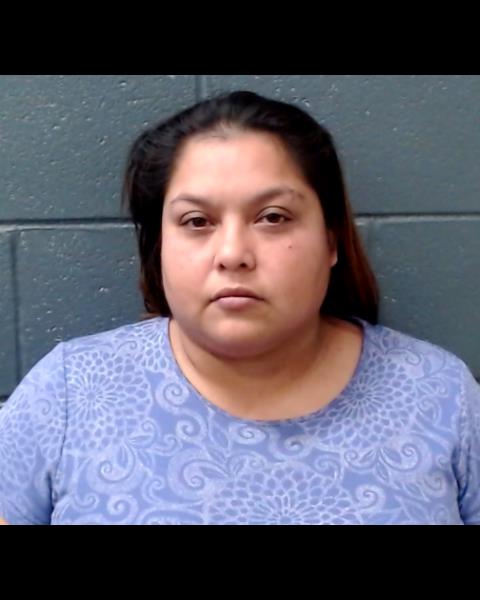 LOPEZ, MISTY DAWN booking photo