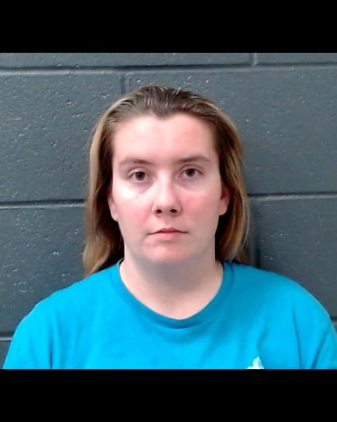 HENRICKSEN, BRITTANY MICHELLE booking photo