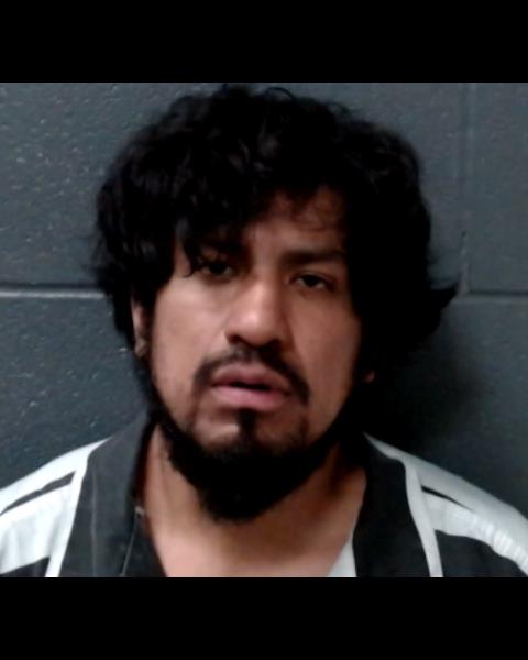 GONZALEZ, J CARMEN, Jr. booking photo