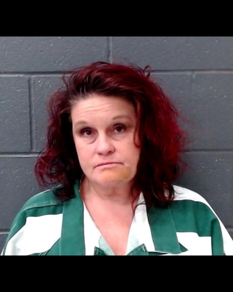 SCHNEDLER, ANGELA DENISE booking photo