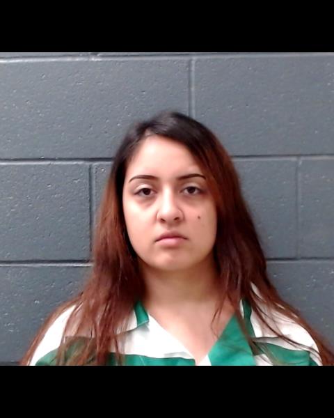 VILLASANO, MARIE ANTIONETTE booking photo