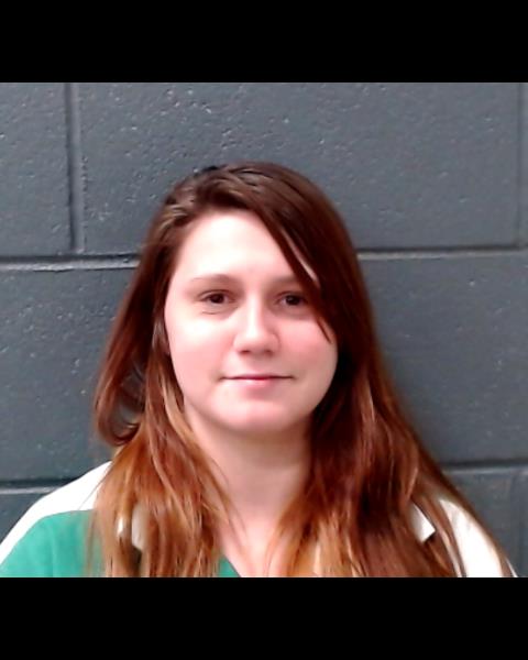 ZAJAC, KAREN LEE booking photo