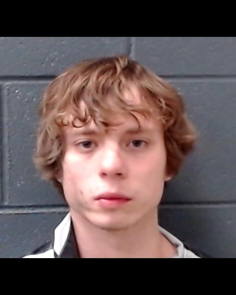 BORMAN, ANTON MARSHAL booking photo