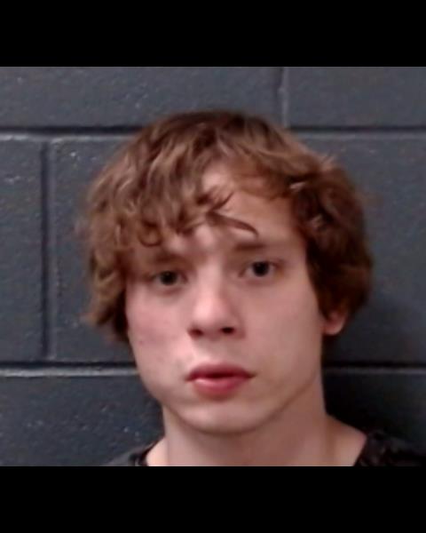 BORMAN, ANTON MARSHAL booking photo