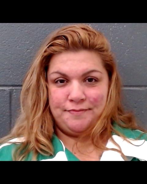 GUTIERREZ, ERMINIA MATILDA booking photo