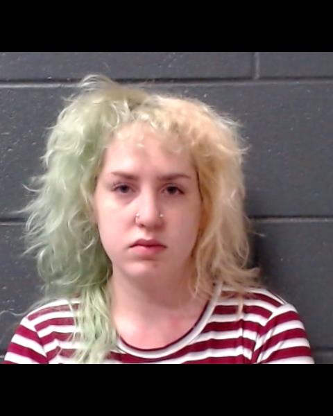 POLLARO, CELESTE KATIE booking photo