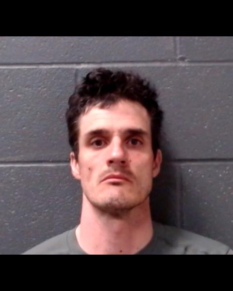 SWANN, DANIEL BROWNING booking photo