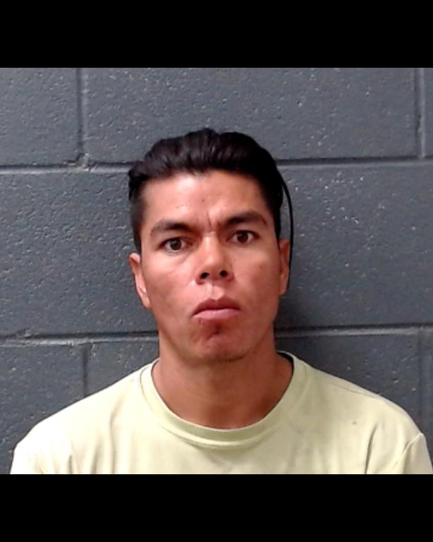 CORONA-MEDINA, GUADALUPE booking photo