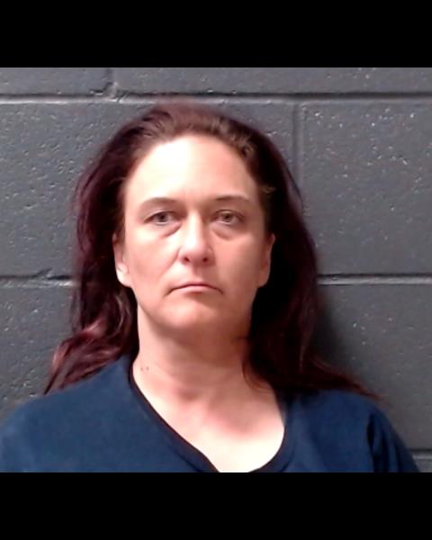 CAIN, SHEILA RENEE booking photo