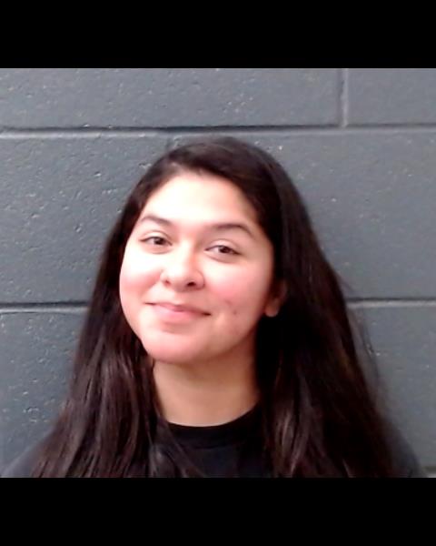 GOMEZ, BRANDY MARIE booking photo