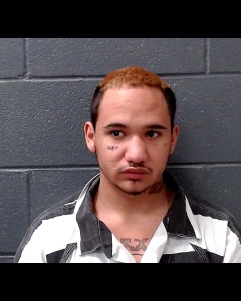 ROMFH, JUSTIN EDWARD booking photo