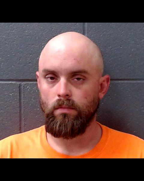 ROBERTSON, CORBIN CASSIDY booking photo