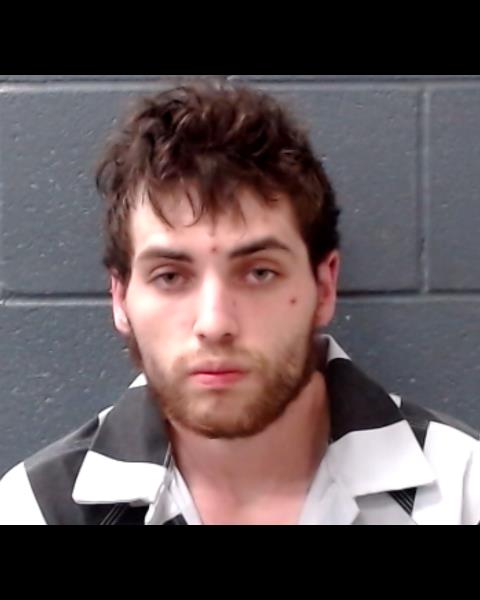 ADAMSON, BRADLEY booking photo