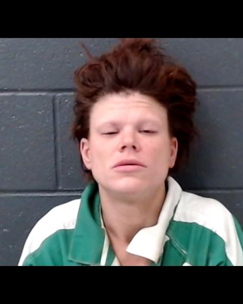 MEYERS, AMBER DAWN booking photo