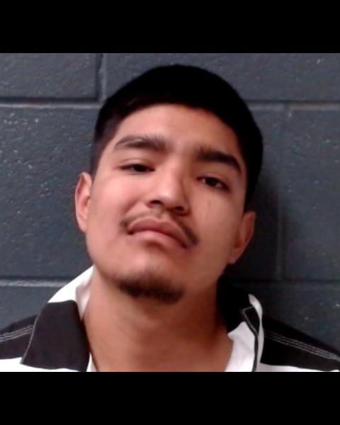 AYALA, ALFREDO, Jr. booking photo