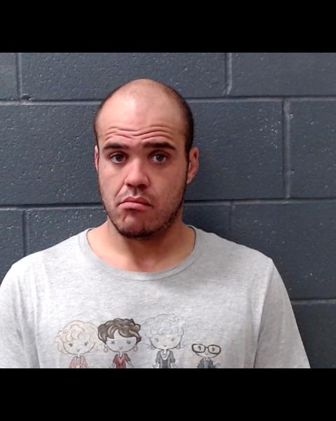 WEBSTER, BRYAN ALAN booking photo