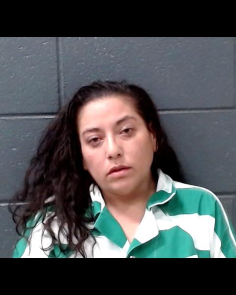 JUAREZ, LYNNETTE SARAH booking photo