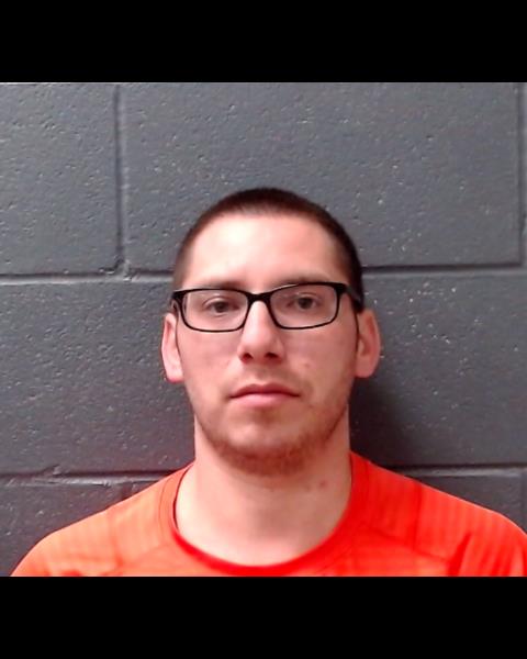 BRIETZKE, COZMO DOMINICK booking photo