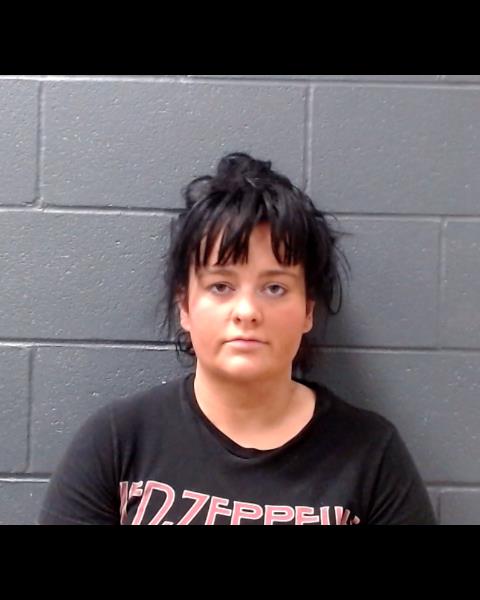 PASVOGEL, ELISA CAROLINA booking photo