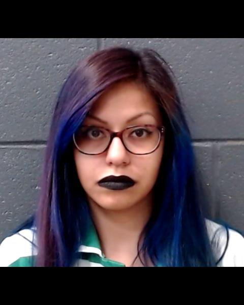 RINCON, LORELI SHINEASE arrested by Comal County SO/PD