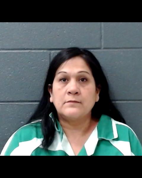 TREVINO, MARY HELEN booking photo