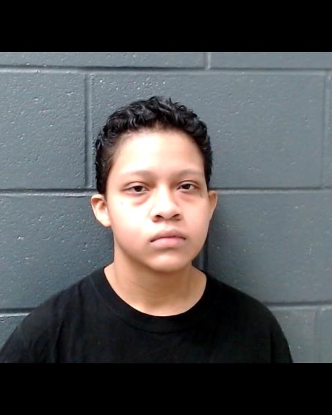 SAVIOR, ARYANA NIKOLE booking photo