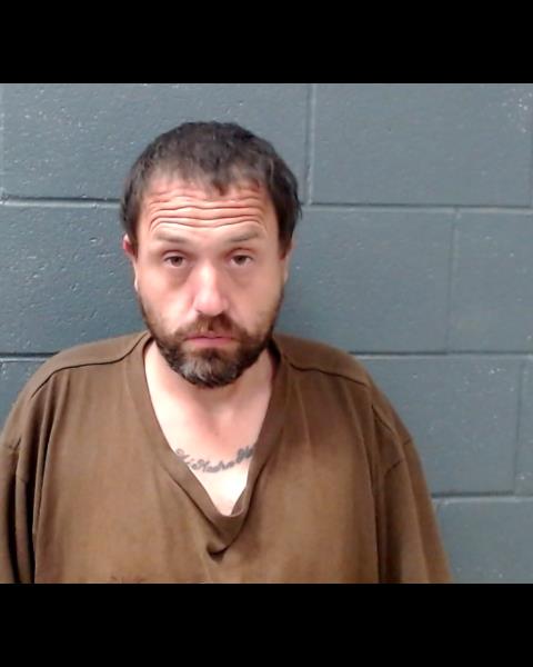 ALVARADO, ARGENECESS CHARLIE booking photo