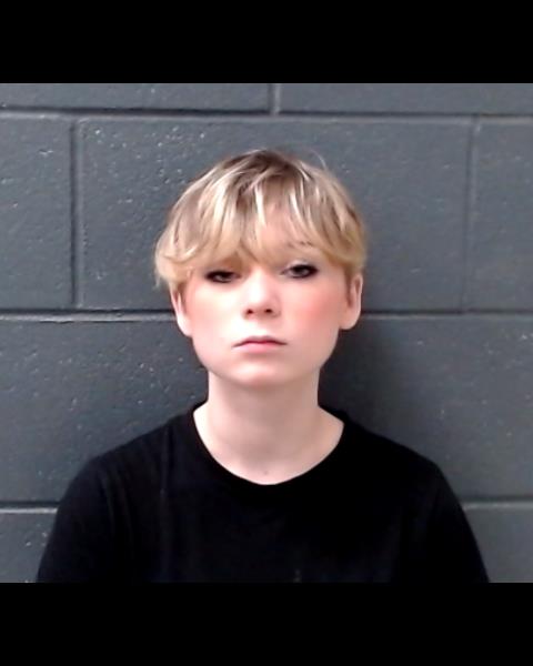 CREEL, ALYSSA DAWN booking photo