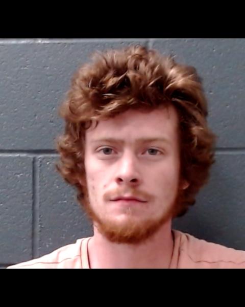 BURT, BAYLEI JENE booking photo