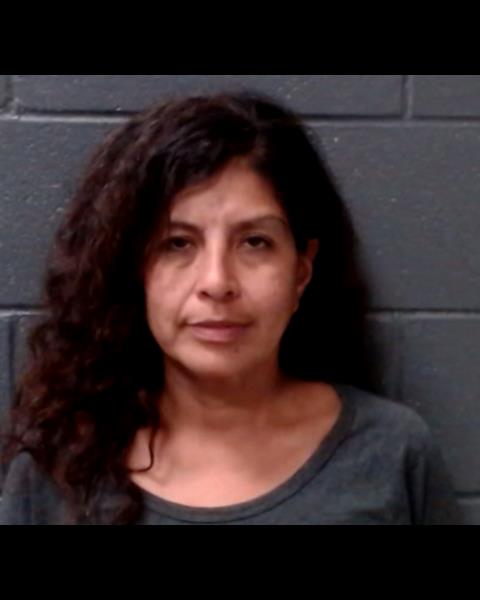 LOPEZ, LINDA LISA booking photo