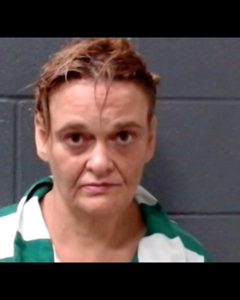 COWELL, TINA booking photo