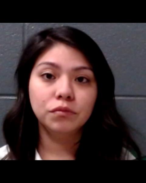 MORALES, ALEXIS MICHELLE booking photo