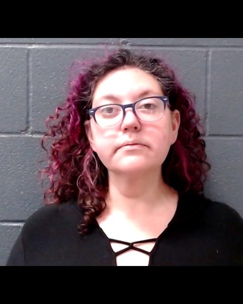 MCDONALD, SHANA LEE booking photo