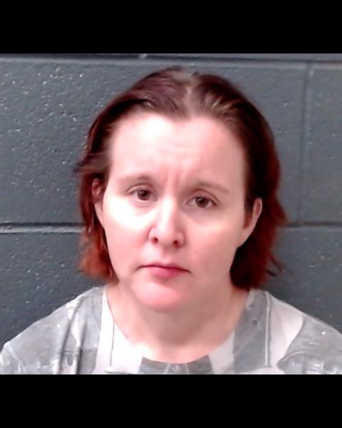 LEFLER, ERIN AMANDA booking photo