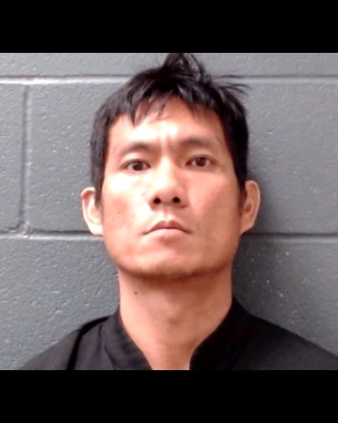 TONG, MIEN DINH booking photo