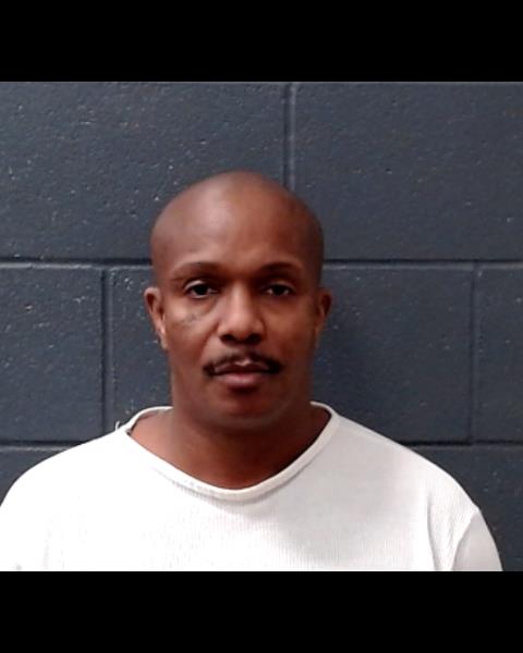 JOHNSON, ASHLEY MACK arrested by Comal County SO/PD