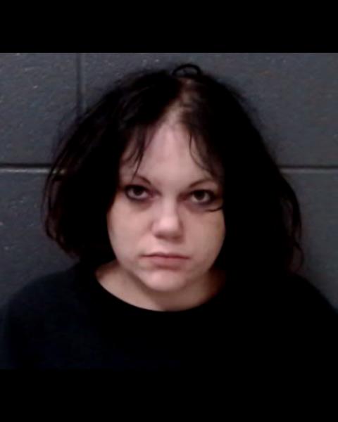 HOHN, JOY MARIE booking photo