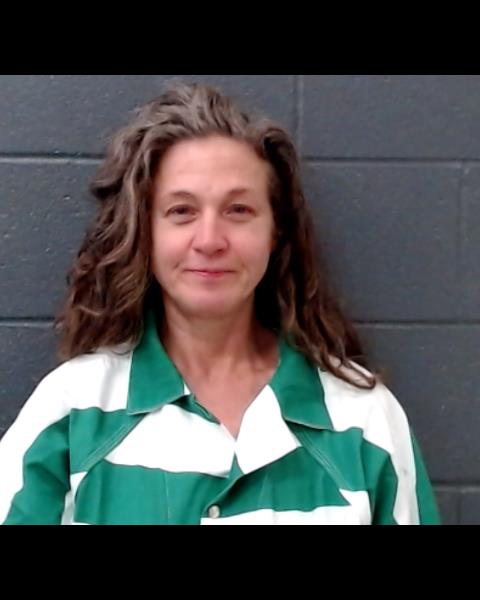 BROWN, MAUREEN ELIZABETH booking photo