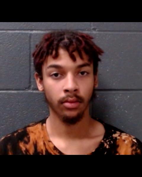 HOGAN, BRYCE booking photo