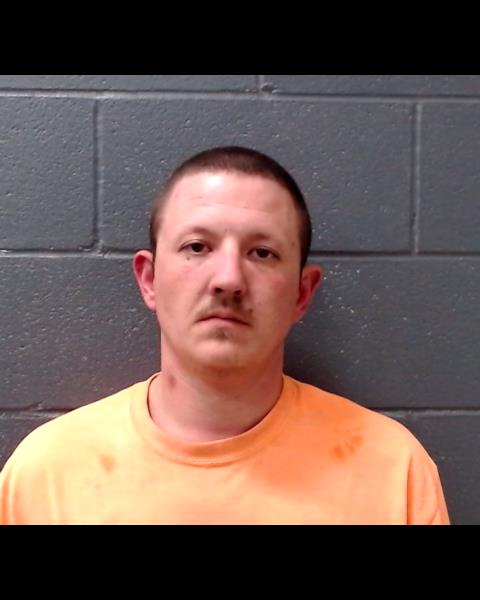 MITTELSTADT, AUSTIN JEROME booking photo