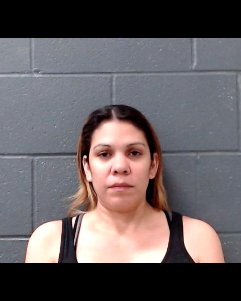 GOMEZ, ANGELICA ZEPEDA booking photo