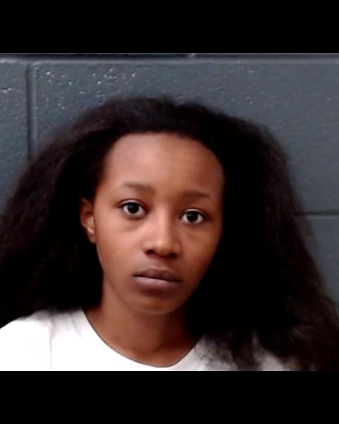 ADELSON, MELISSA NICOLE booking photo