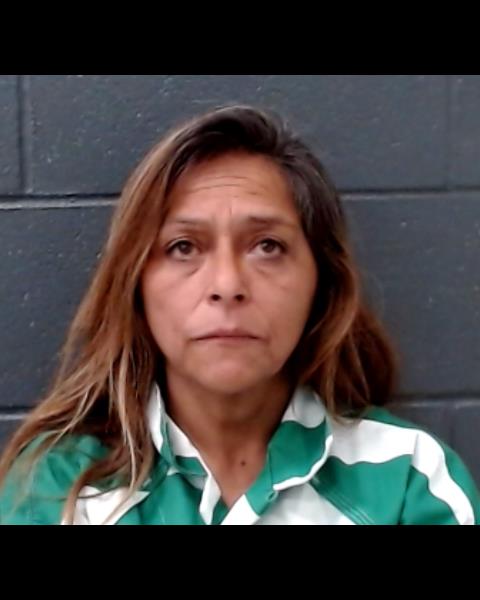 CORTEZ, NANCY ANN booking photo