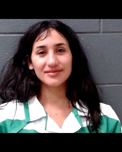 CASTILLO, CAMILLA CLAUDETTE booking photo