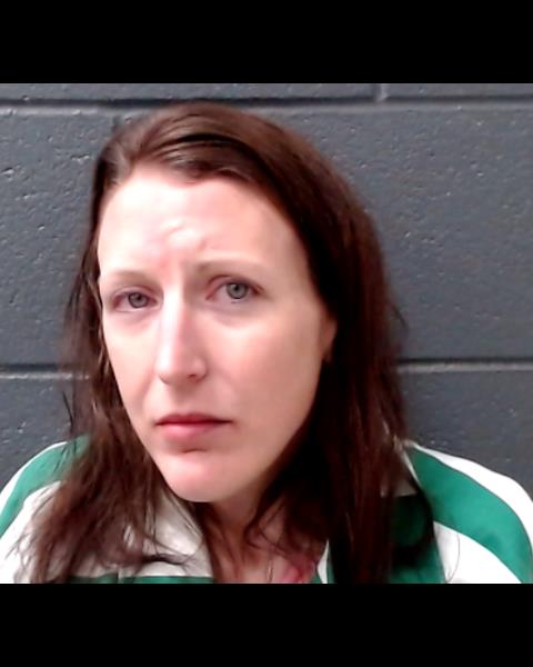 ARCHER, MACKENZIE ANN booking photo