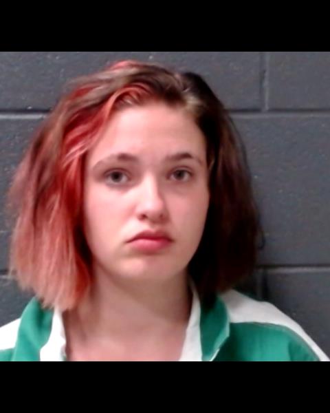 STEPHENSON, TABATHA SUZETTE booking photo