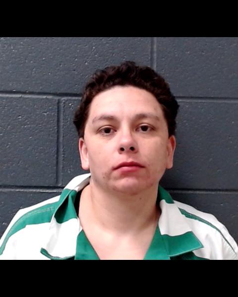 CAUSTRITA, YVONNE OLIVIA booking photo