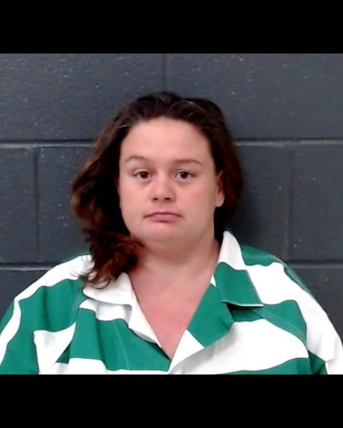 WEBSTER, JENNIFER MARIE booking photo