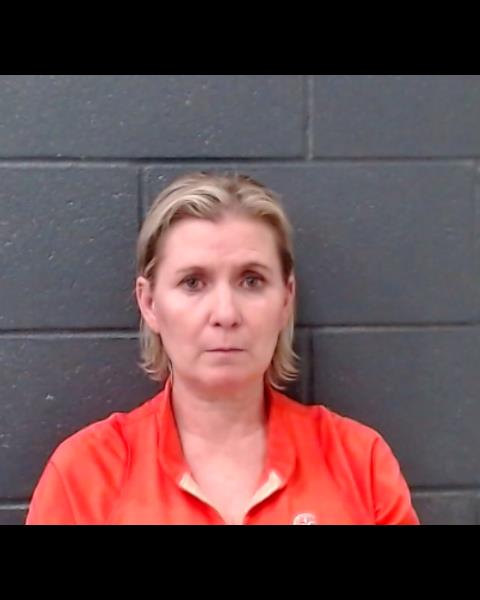 BLEVINS, TESHA RENE booking photo